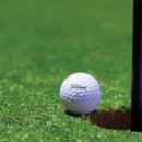 그린골프존 이미지