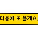 신인생도리탕 로고