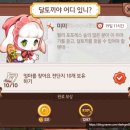 달토끼
