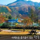 금수강산식품