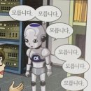 솔말티즈 | 7월 다 놀았니? 이제 할일을 하자
