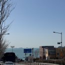 영도구-9 | 부산 영도카페 리스보아 라자냐 아메리카노 딸기라떼 후기