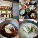 장안48 | 수원 송죽동 장안구청 종합운동장근처 송죽부산밀면국밥 내돈내산후기