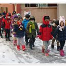 용인대으뜸태권도장 이미지