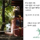 오렌지티비
