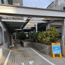 허그동물의료센터 | 부산동물병원 추천 고양이 건강검진 종합백신 추천 허그동물의료센터