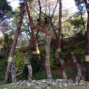 이종철목장 | 장승이란?