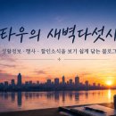 킴스마켓코리아