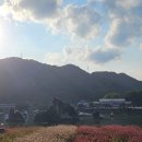한샘약국 | 광고X 치질 임산부/26주 급성치질악화사태 일주일 회복 후 악화 후 회복일기