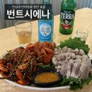 번트시에나 | 전남대 애견동반 술집 번트시에나, 상주견 듀이가 반겨주는 안주 맛집! 수육 오징어초무침 강추