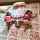 무지개훈련소 이미지