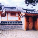 애프터유(정원)