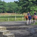 송당승마장 이미지