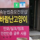 바람난고양이 이미지