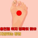 멍도씨(mung℃) | 퇴계 이황도 매일 했던 건강법! 용천혈 위치 정확히 찾아 지압하는 방법