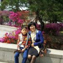 다산치과기공소 이미지