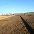 엘림마트 이미지