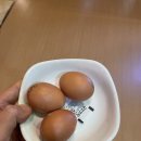 황금스파 이미지