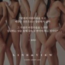 라인뷰