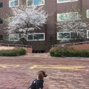 이디야 평택청북점 이미지