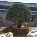 하루정원 이미지