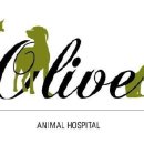 올리브동물병원 이미지