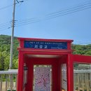 증평밀면 | 증평밀면' 내돈내산 찐 후기(이날은 콩국수와의 의리를 져버렸어, 증평밀면 완전 강추, 냉밀면, 온...
