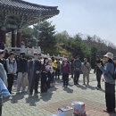 쫄로리 - 솔올미술관, 교동미술관, 향교, 봉수대, 화부산, 춘갑봉, 솟대다리~ 이미지