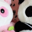 설기마켓