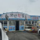 코난횟집