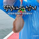 축항대로 | 10월 인천항 주꾸미 갑오징어 덕적바다낚시 아쉬웠던 내돈내산 솔직후기