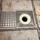 부영약품 이미지