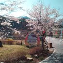 형석농장 이미지