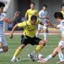 펠레 엑스포츠뉴스