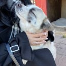 종혁농장 이미지