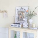 폴인럽제주 이미지