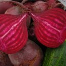 선명농장 이미지