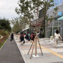 탕화쿵푸 마라탕 | 스트레스 풀리는 매운맛! 충북혁신도시 탕화쿵푸 마라탕 후기