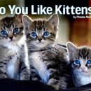 Do You Like Kittens? 이미지