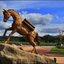 고랑포구 이미지