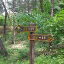 서울국유림관리소 이미지