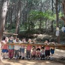 ⛰️ [ 해솔, 아라반 3분기 특색 프로그램 – 밖에서 나가 놀자! ] 숲 선생님과 놀이해요 ⛰️ 이미지