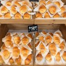 남해예가 | 김포 소금빵 맛집 남해도소금빵 장기동 라베니체 신상 카페 핫플 방문 꿀팁