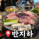 한근+한근 | 청주 맛집 봉명동 반지하 도야지한근 식사 후기