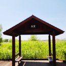 배곧생명공원 이미지