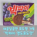 [과자리뷰] 승리를 담은 달콤한 간식, 빅파이 영동포도 후기