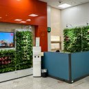 미추홀구숭의보건지소 | 미추홀구, 숭의보건지소 내 ‘스마트 가든’ 조성 완료… 쾌적한 실내 환경 조성