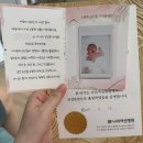나리울동물병원 | 김포 산부인과 나리여성병원 응급 제왕절개 출산 후기 ft. 아빠캥거루