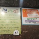 곱씹고 | 광주 소곱창 맛집 곱씹고 🐂 터질 것 같은 대창 좀 보세요