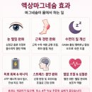 액상마그네슘 효과 흡수 추천 제품 비교 다이소 vs 약국